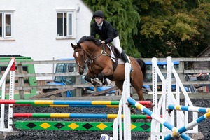 Class 7 - Fences 3' to 3'3